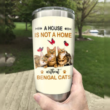 Load image into Gallery viewer, Bengal Cat Steel Tumbler MR1806 71O59