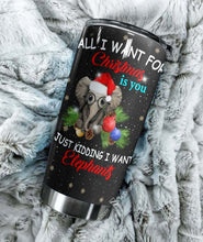 Load image into Gallery viewer, All I Want For Christmas Tumbler V19L7